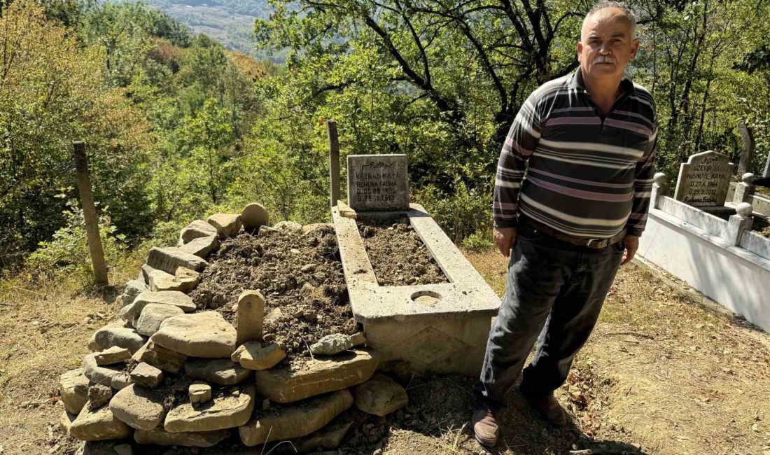 Karabük’ün Yenice ilçesine bağlı Şirinköy köyü Yazır Mahallesi’nde mezarlığa giren
