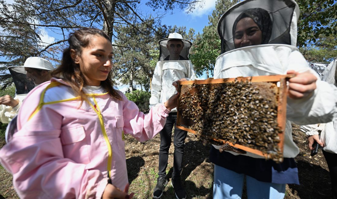 Düzce'de Türkiye Bilimsel ve Teknolojik Araştırma Kurumu (TÜBİTAK) tarafından desteklenen