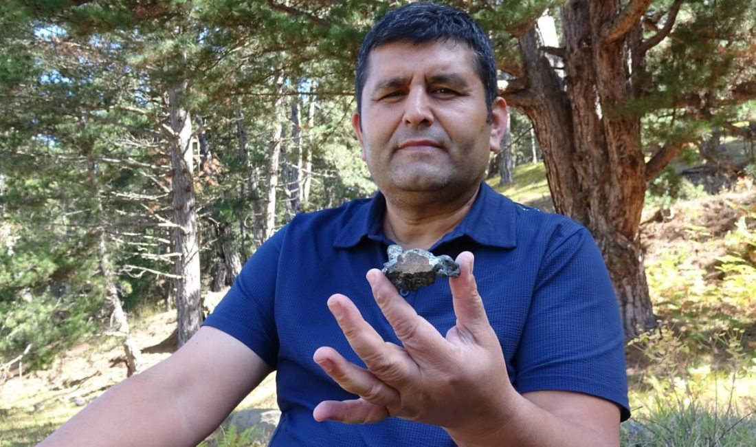 Karabük’ün Eskipazar ilçesinde mantar toplamak için ormana giden Şenol Diktepe,