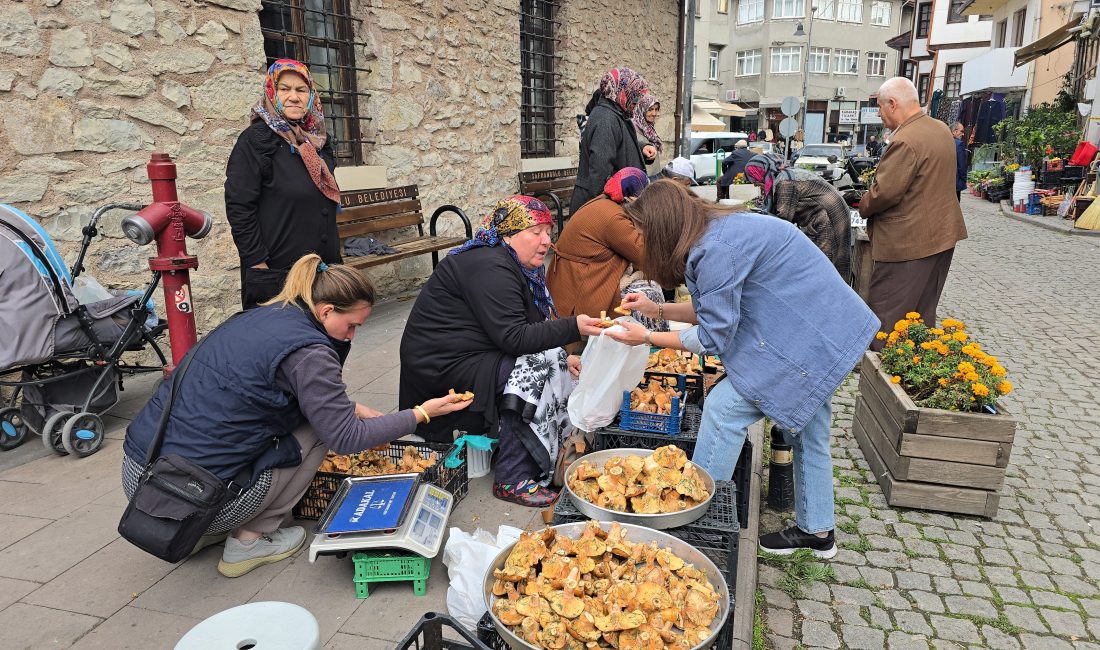 Karabük’ün Safranbolu ilçesinde ormanlık alanlarda yetişen kanlıca ve ebişke mantarı