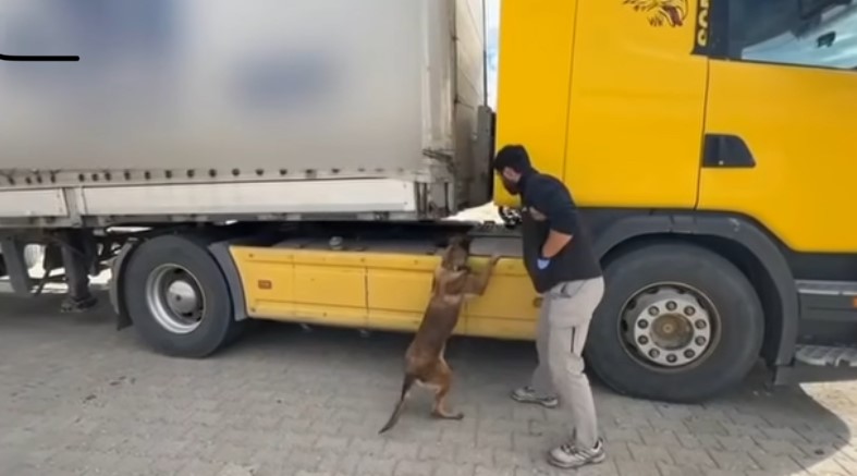 Kastamonu’nun Tosya ilçesinde yol kontrolü sırasında uyuşturucu bulunan tırın sürücüsü