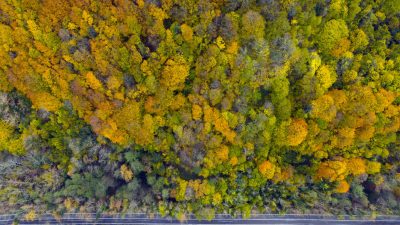 Karabük ile Bartın arasındaki karayolunun 5 kilometrelik bölümünde sağlı sollu uzanan