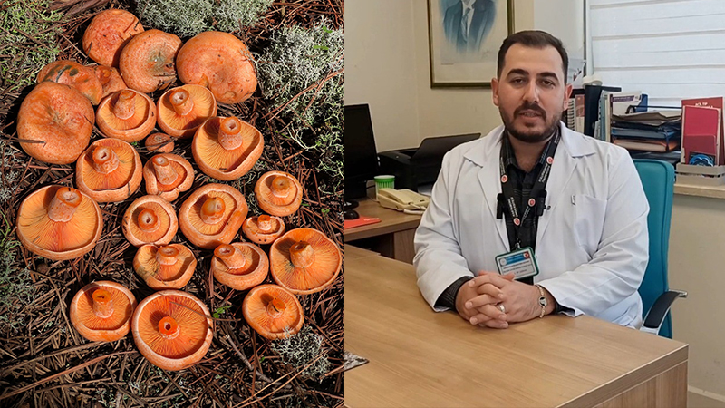 Sonbahar mevsimiyle birlikte artan mantar tüketimine dikkat çeken Dr. Öğretim