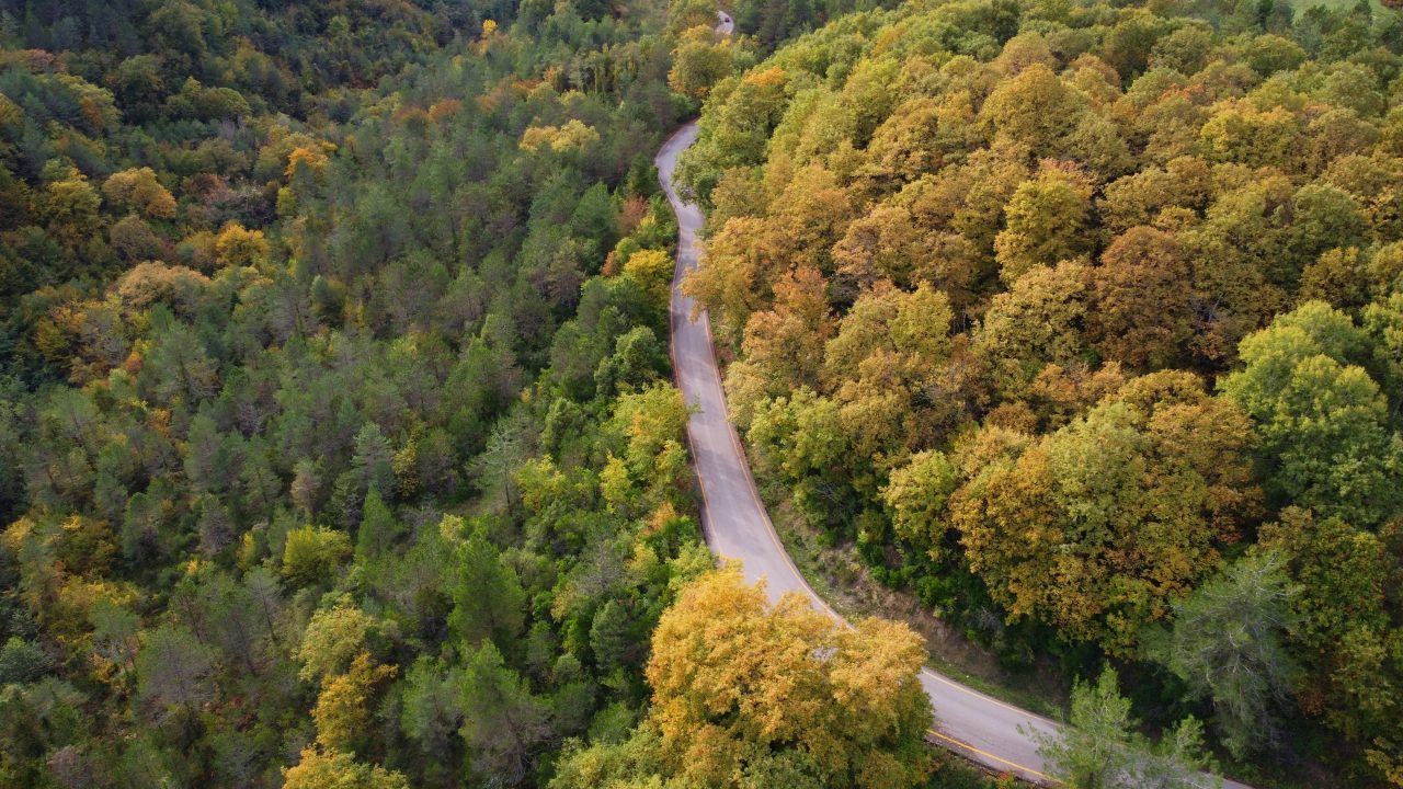 Sinop’un Ayancık ilçesindeki gür ormanlarda sonbahar güzelliği yaşanıyor. İlçeyi çevreleyen