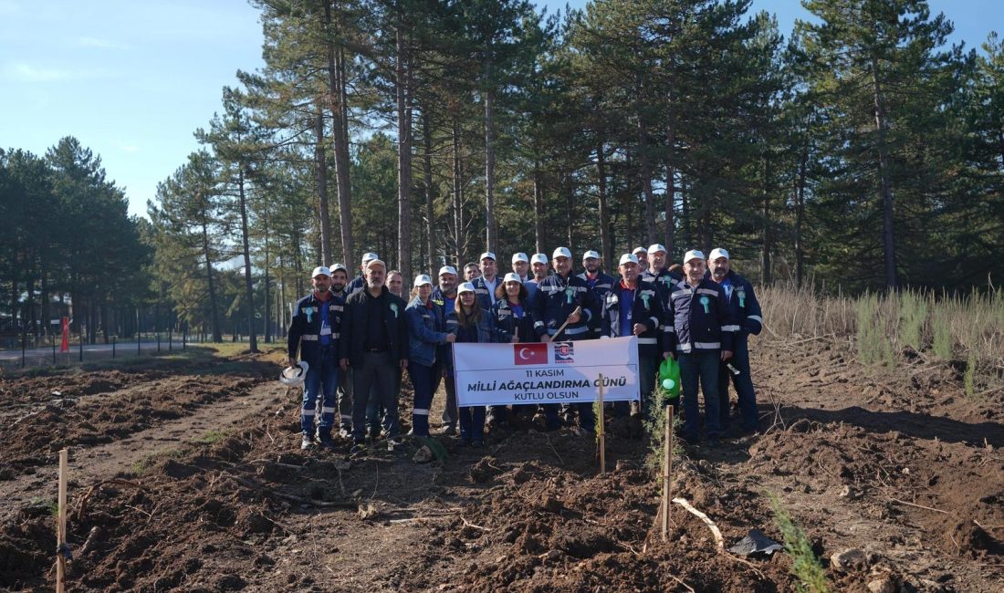 Karabük Demir ve Çelik Fabrikaları (KARDEMİR), Merkeze bağlı Saitler köyü
