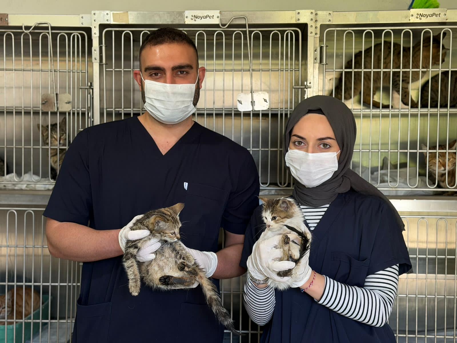 Karabük Belediyesi tarafından yenileme çalışmaları tamamlanarak Temmuz ayında hizmete açılan