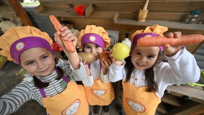 Düzce’de “Aile Yılı” dolayısıyla hayata geçirilen proje kapsamında çocuklar, aile