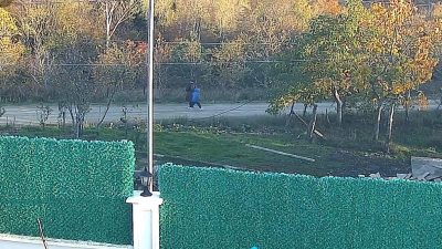 Kastamonu’nun Bozkurt ilçesinde 4 gün önce evden ayrıldıktan sonra haber