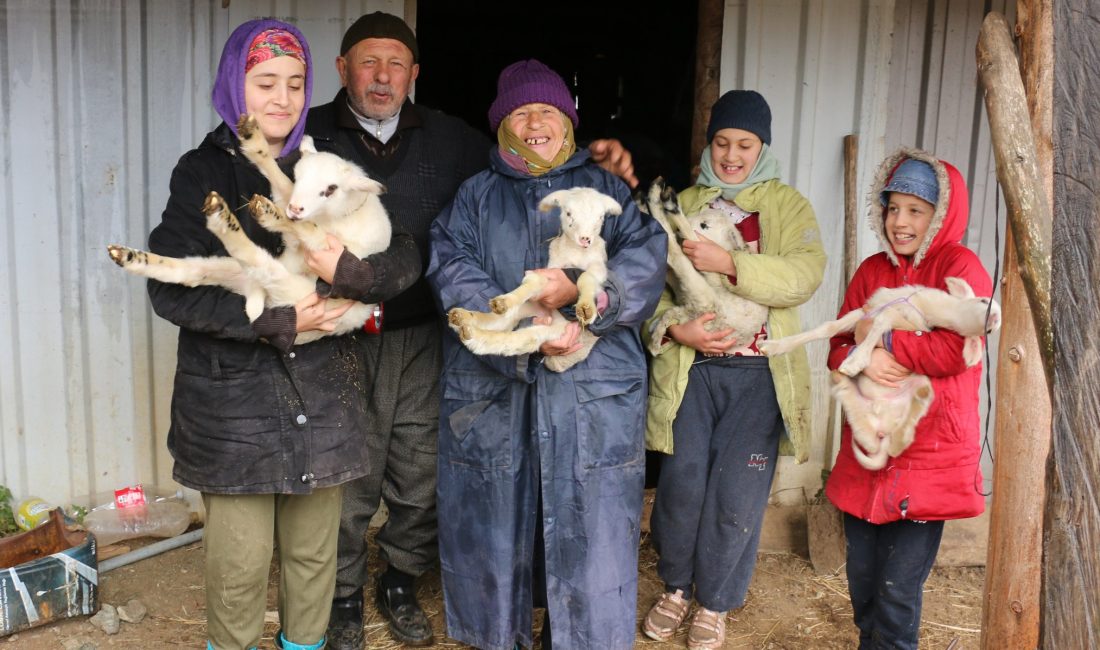Bolu‘nun Mudurnu ilçesinde havaların soğuması ve kar yağışı beklentisiyle birlikte