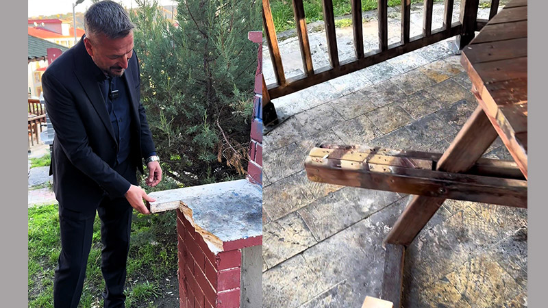 Karabük’ün Eskipazar ilçesinde belediyeye ait bir parkta bulunan kamelyalar ile