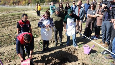 Karabük’ün UNESCO Dünya Mirası Listesi’ndeki Safranbolu ilçesinde “Safran İmecesi” etkinliği