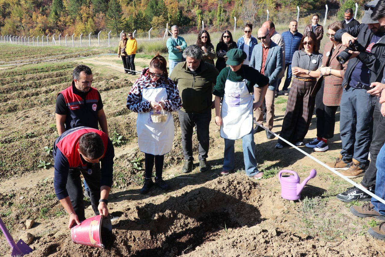 Karabük’ün UNESCO Dünya Mirası Listesi’ndeki Safranbolu ilçesinde “Safran İmecesi” etkinliği