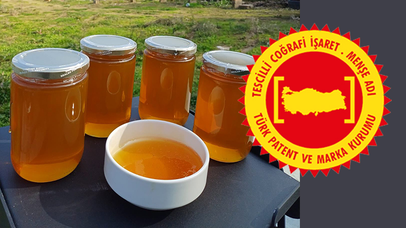 Karabük’ün Yenice ilçesine özgü “Yenice Ihlamur Balı”, Avrupa Birliği tarafından