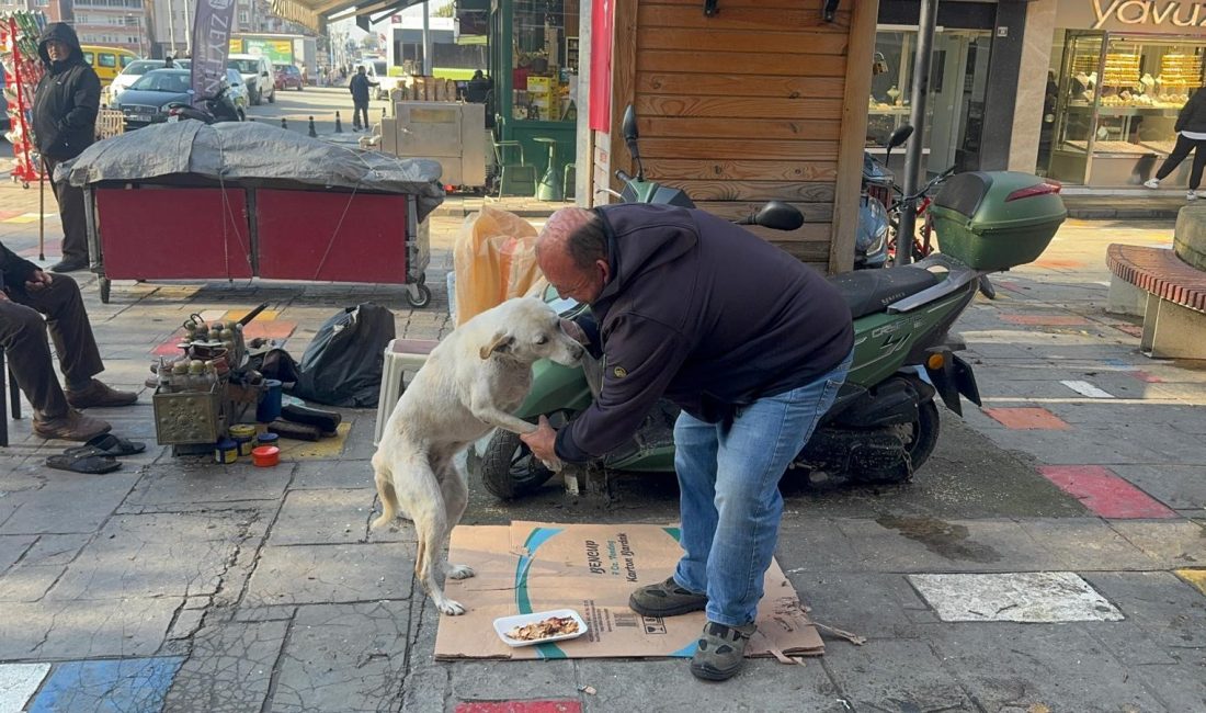 Zonguldak’ın Alaplı ilçesinde ayakkabı boyacılığı yapan Hüseyin Öztürk, kazancının yarısını