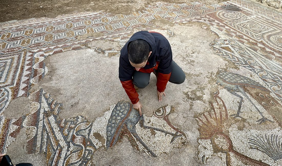 Karabük'ün Eskipazar ilçesindeki Hadrianopolis Antik Kenti'nde sürdürülen kazılarda literatürde bulunmayan