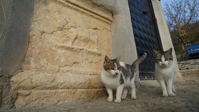 Kastamonu'nun Daday ilçesindeki Zeus Tapınağı'ndan geçmişte yöre halkı tarafından alınarak