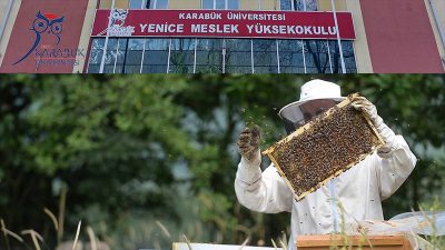 Yenice ilçemizdeki yüksekokul bünyesinde, arıcılık bölümü açılması ile ilgili olarak