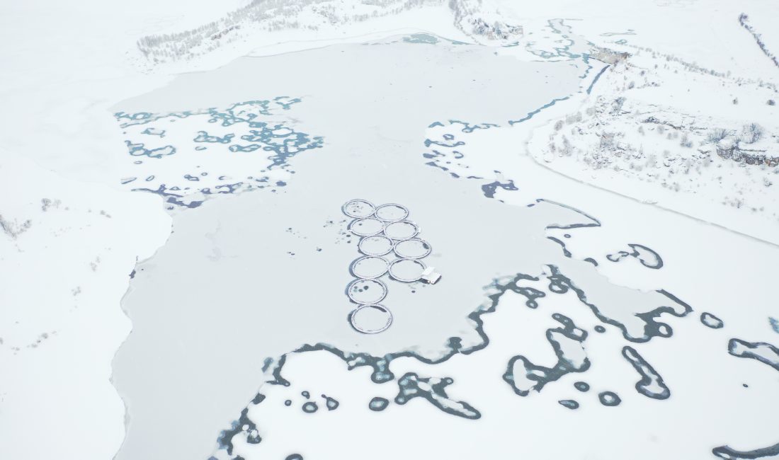 Kastamonu’nun Devrekani ilçesinde soğuk hava nedeniyle yüzeyi buz tutan Kulaksızlar