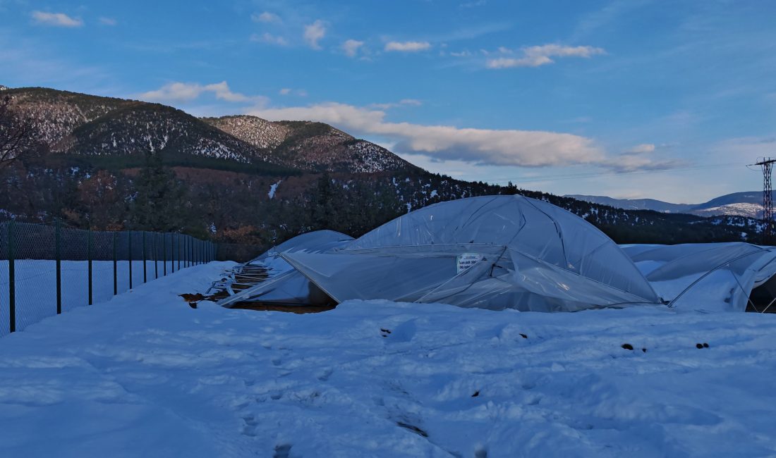 Karabük’ün Eskipazar ilçesi Köyceğiz köyünde yağan karın ağırlığıyla seralar çöktü.