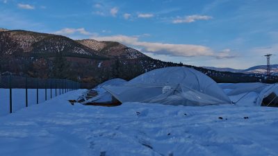 Karabük’ün Eskipazar ilçesi Köyceğiz köyünde yağan karın ağırlığıyla seralar çöktü.