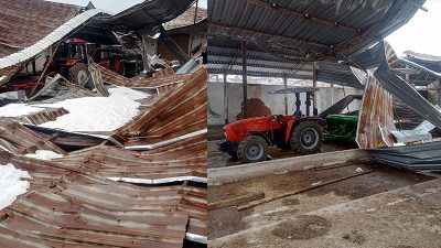 Karabük’te etkili olan kar yağışı nedeniyle bir mandıranın çatısı çökerken,