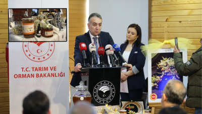 Avrupa Birliği (AB) komisyonu tarafından coğrafi işaretle tescil edilen Yenice