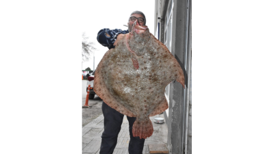 Sinop’ta bu sezon beklenen verimi vermeyen kalkan avcılığı, yakalanan 15