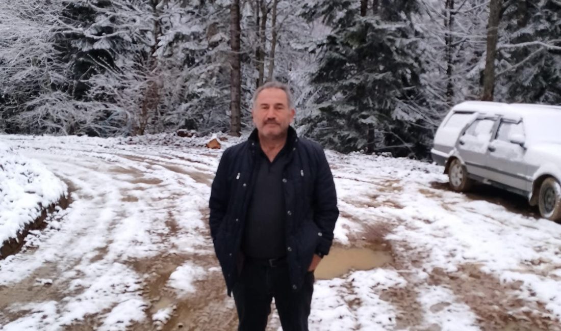 Karabük’ün Yenice ilçesinde ormanlık alanda ağaç kesimi sırasında devrilen ağacın