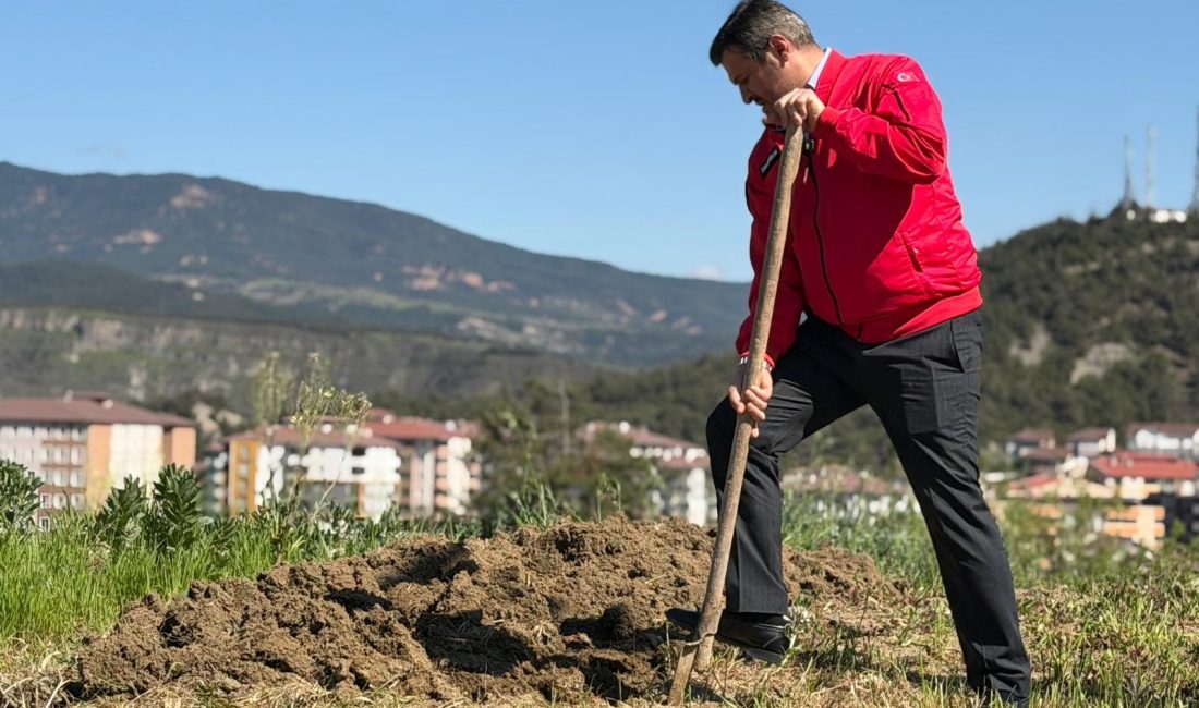 Karabük Belediye Başkanı Özkan Çetinkaya, dalından koparıp yediği bademin karşılığını