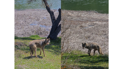 Karabük‘ün Eflani ilçesinde balık tutmaya giden arkadaş grubu, gölet kenarına