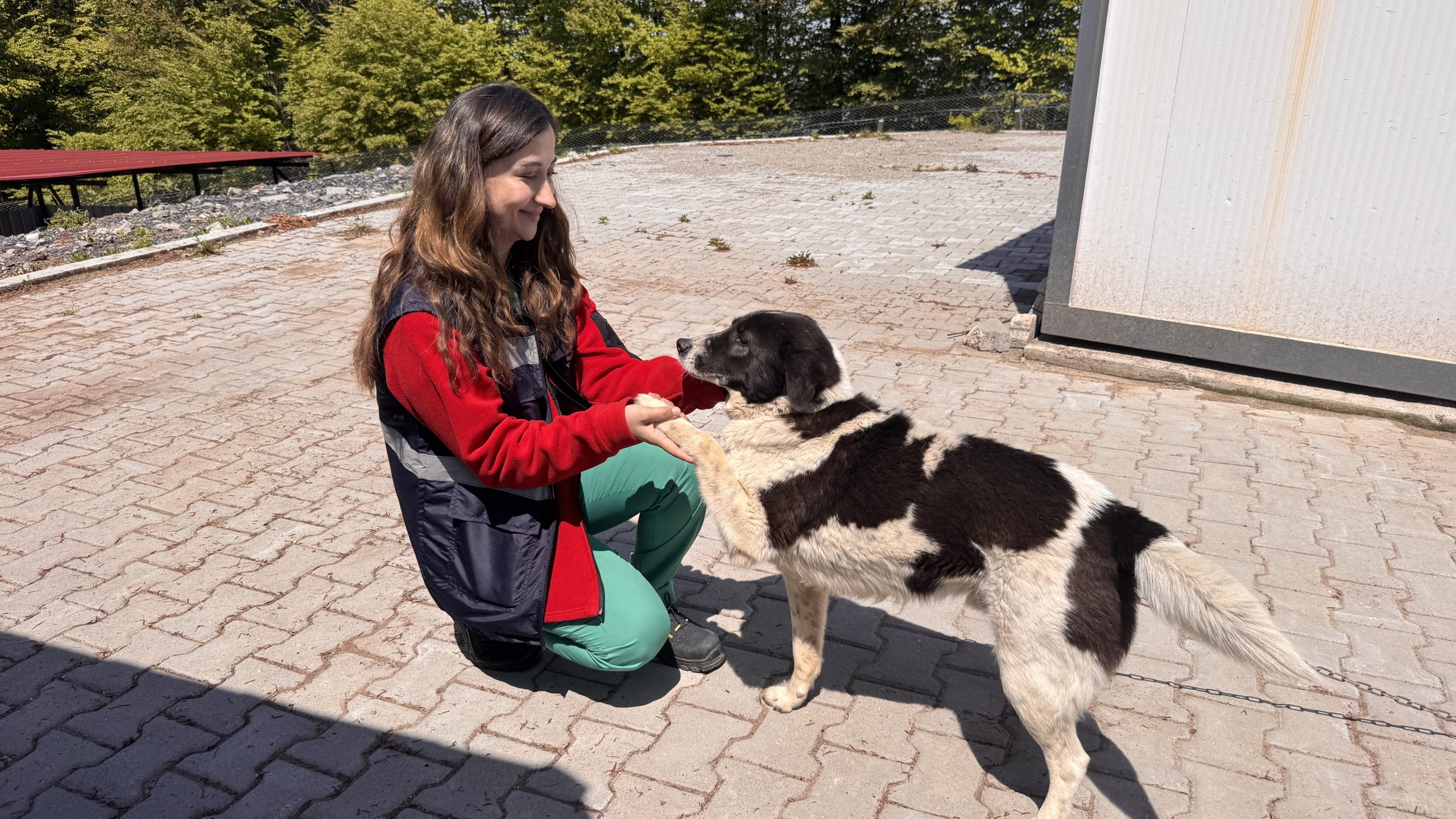 Zonguldak‘ta Merkez ve Çaycuma ilçelerinde kurulan “Sokak Hayvanları Doğal Yaşam