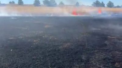 Karabük’ün Eskipazar ilçesinde çıkan anız yangını, itfaiye ekiplerinin müdahalesiyle kontrol