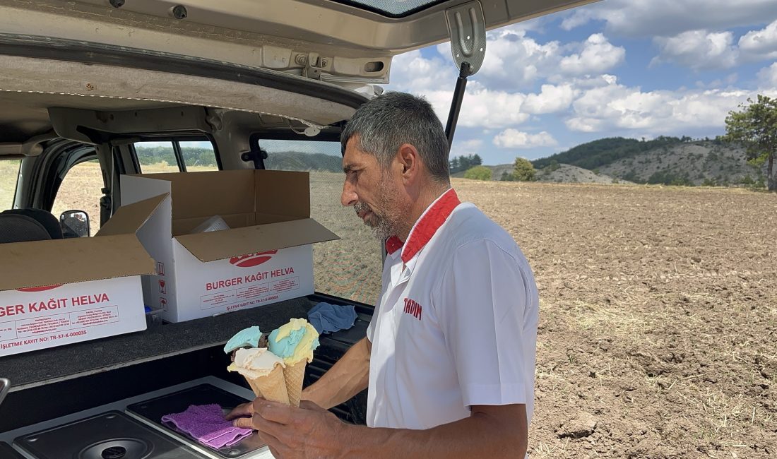 Kastamonu’nun İhsangazi ilçesinde bir dondurma işletmesi, sıcak altında hasat yapan