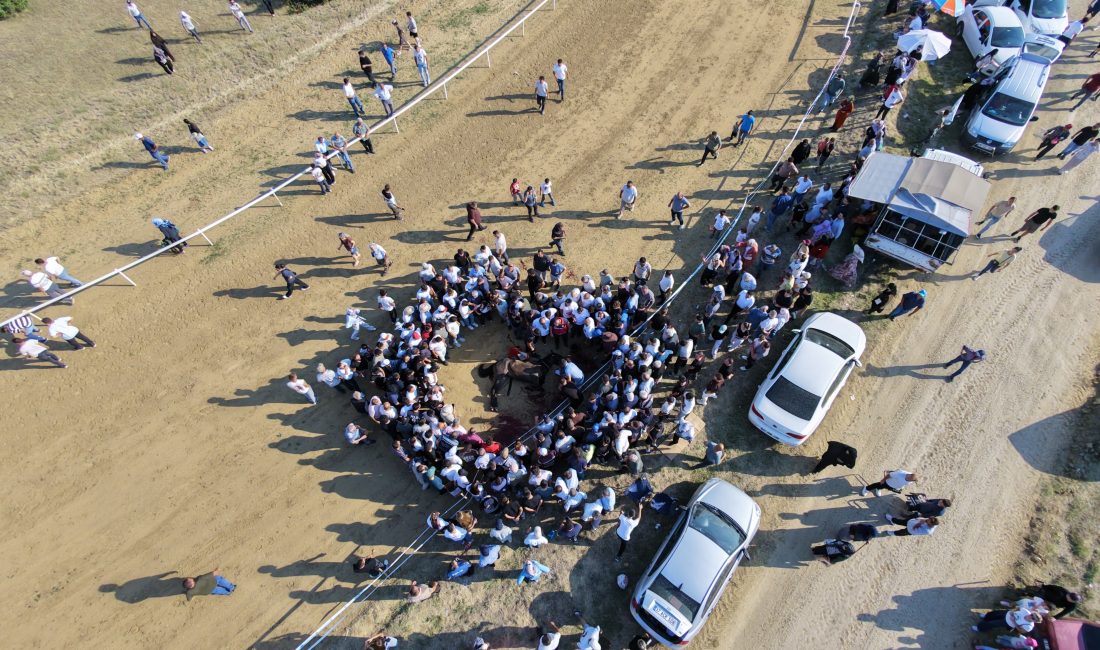 Kastamonu‘nun Taşköprü ilçesinde düzenlenen yarışta çarpışan iki at telef oldu.