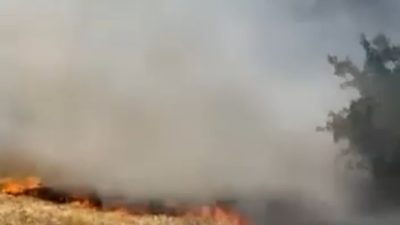 Karabük‘ün Safranbolu ilçesinde boş arazide çıkan ot yangını, büyümeden kontrol