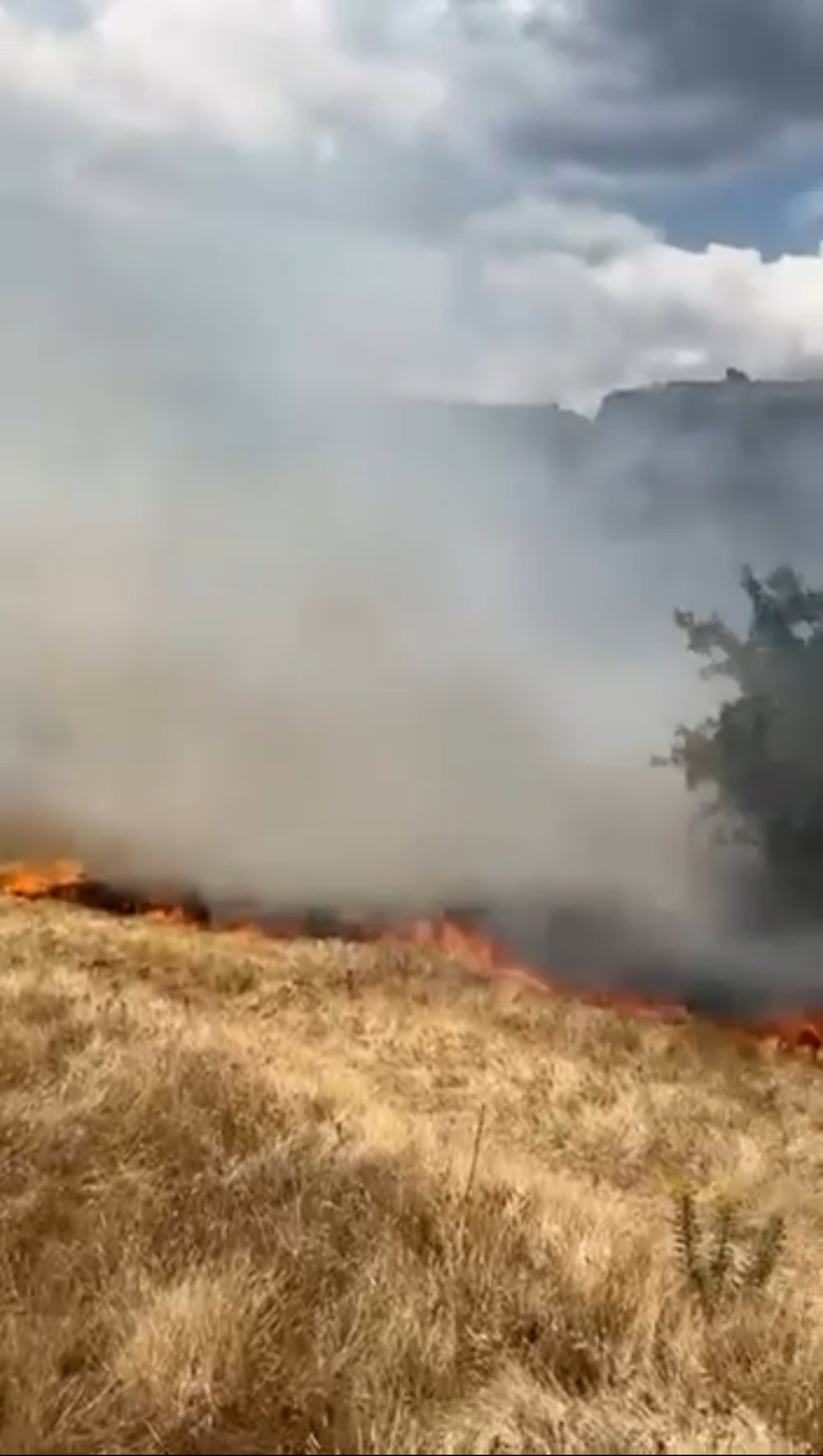 Karabük‘ün Safranbolu ilçesinde boş arazide çıkan ot yangını, büyümeden kontrol