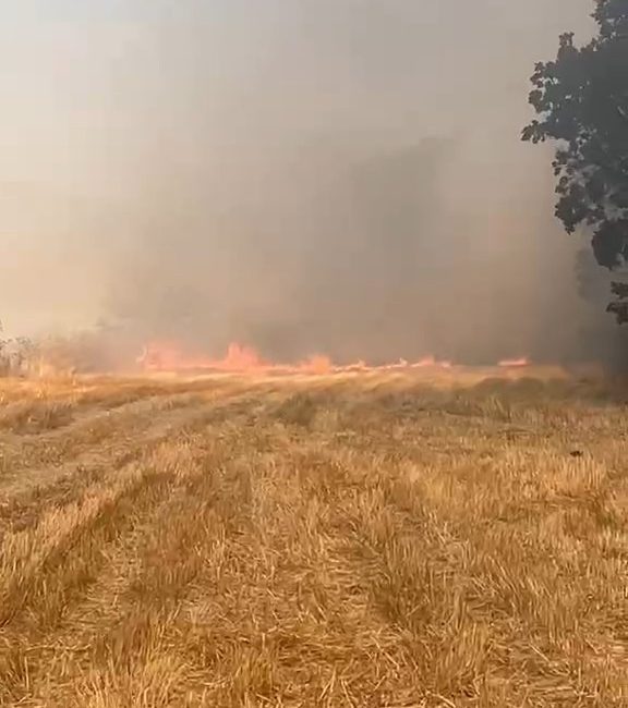 Karabük‘ün Eskipazar ilçesinde çıkan anız yangını, itfaiye ekipleri ve arazözlerin